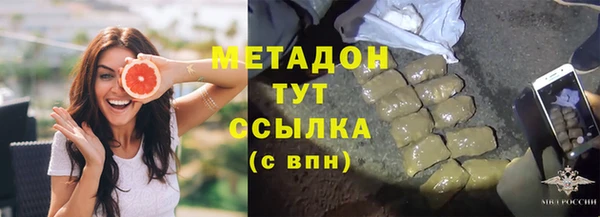 шишки Гусев