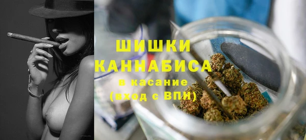 амф Гусиноозёрск