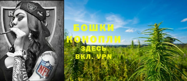 стафф Кинешма