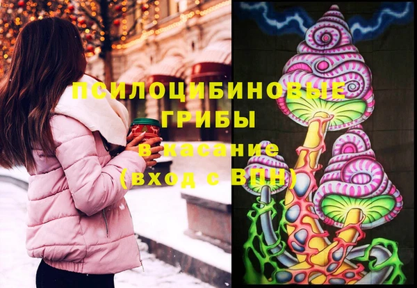 МДПВ Дмитровск