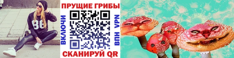 даркнет сайт  Сретенск  Галлюциногенные грибы GOLDEN TEACHER 